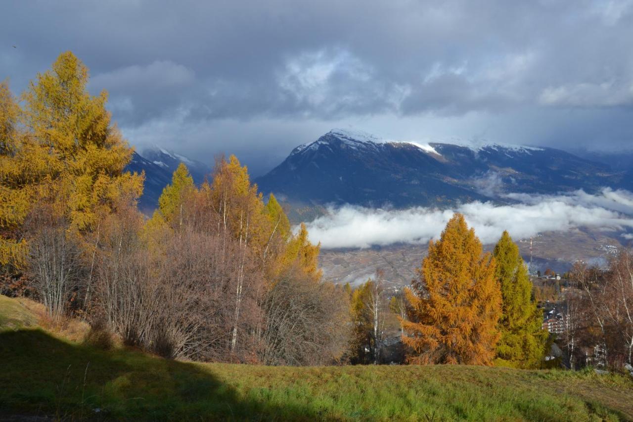 Les 2 Sabots Villa Nendaz Exteriör bild