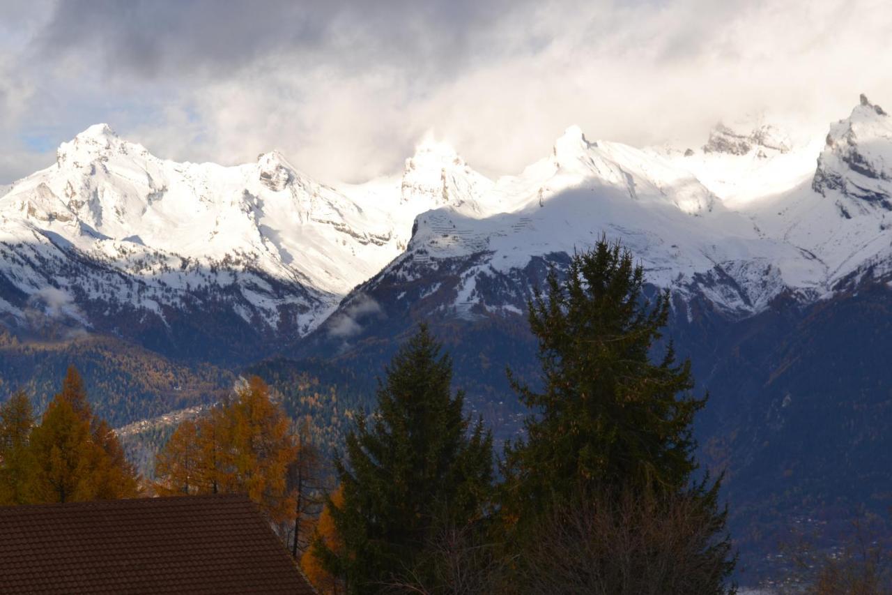 Les 2 Sabots Villa Nendaz Exteriör bild